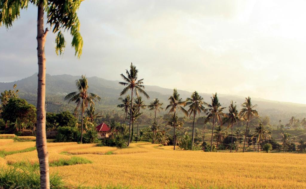 Lafyu Bali Hotel Singaraja  Exterior photo